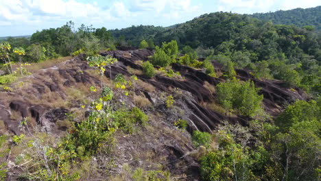 Aerial-flight-over-a-mountain-rock-Inselberg-in-Guiana.-Amazonian-forest